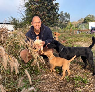 organic farm with dogs หมา ออร์แกนิค