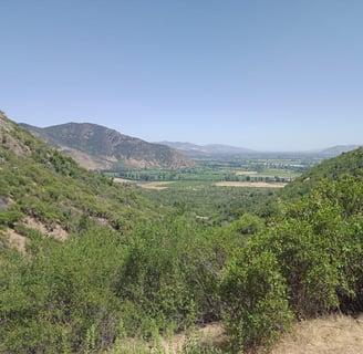 valle del tagua tagua, San Vicente, Cerros, naturaleza