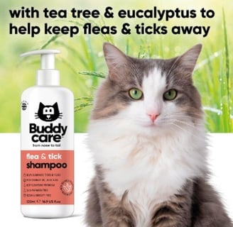 Buddycare Flea & Tick Cat Shampoo for cats with natural ingredients