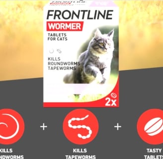 FRONTLINE WORMER tablets for cat worming treatment