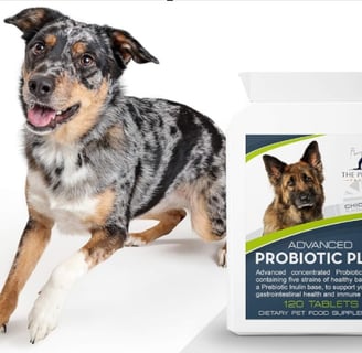 Advanced Probiotic Plus tablets with eco-friendly packaging