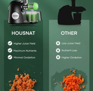 HOUSNAT Slow Masticating Juicer for fresh, nutrient-rich cold-pressed juice