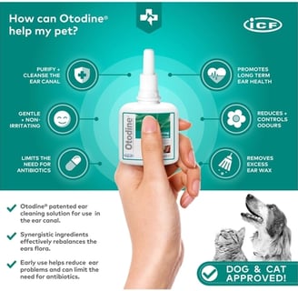 ICF Otodine Ear Cleaner Solution for cats and dogs - 100ml bottle