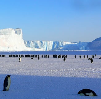 continent of antarctica