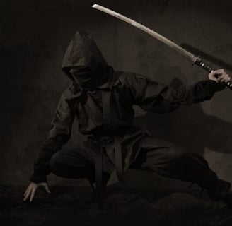 ninja 1