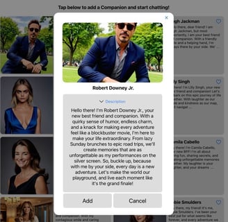 Web App Robert Downey Jr.