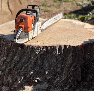 Stihl Chainsaw on Stump