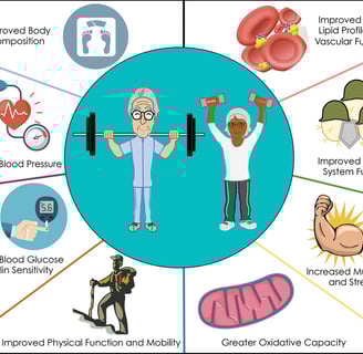 Proposed mechanisms whereby RET influences chronic disease risk.