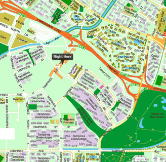 Tampines North condo beside mrt station