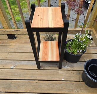 Potted Plant Stand 1