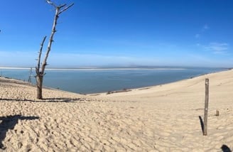 photo d'une dune de sable avec des pins et la mer en fond