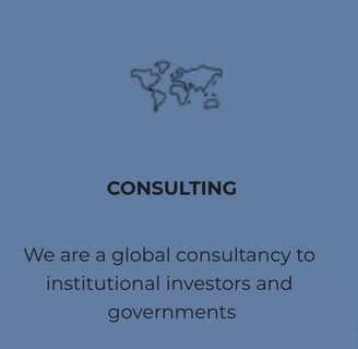We are a global consultancy to institutional investors and governments