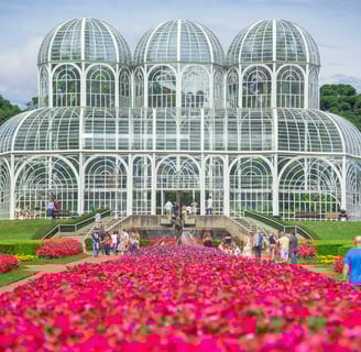 Imagem de um parque em Curitiba