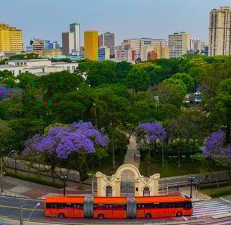 Imagem de um parque em Curitiba