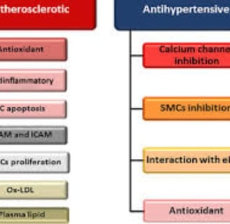 antihypertensive