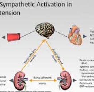 renal in hypertension