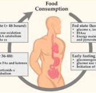 a diagram of a diagram of the human body wt loss and diabetes
