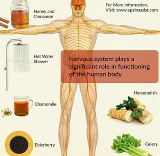 ketogenic fasting