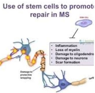 stem therapy use = fasting