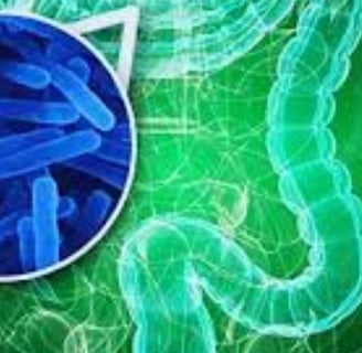 The Impact of Microbiome, Fasting, and Probiotics on Cancer (4)