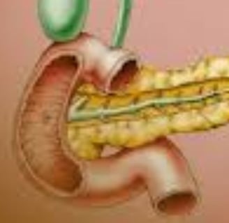 Emesis and Upper Digestive Tract Blockages