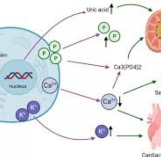 Fasting and Tumor Lysis Syndrome