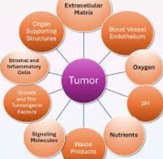 Fasting and Tumor Lysis Syndrome