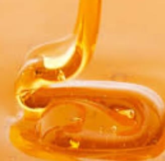 Abdominal Paracentesis Diagnostic and Therapeutic honey