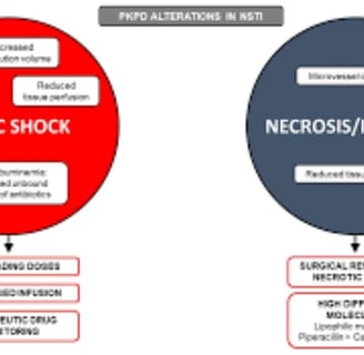 Adjunctive remedies Necrotizing fasciitis2