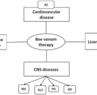 Bee Therapy the Benefits and Uses of Bee Venom (1)