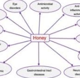 Bee Therapy the Benefits and Uses of Bee Venom (2)
