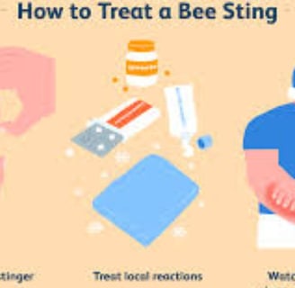 Bee Therapy the Benefits and Uses of Bee Venom (4)