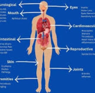 body systems