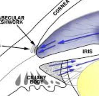 beta-blockers in glaucoma mechanism of action