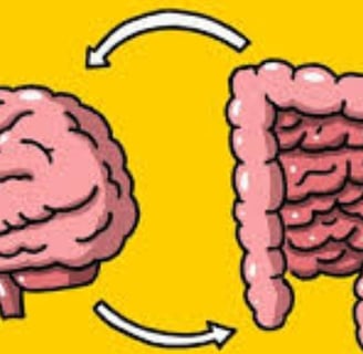 Boost Your Brain Power