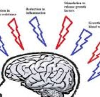 Boost Your Brain Power
