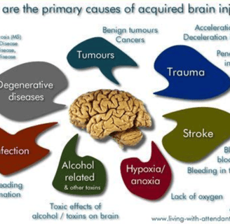 causes