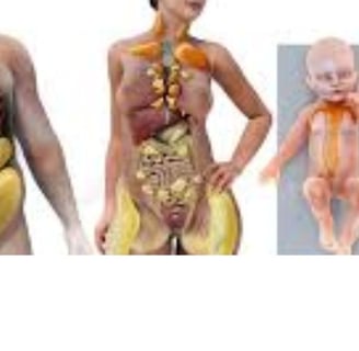 Brown Fat: Energy, Cold, Fasting, and Diseases