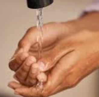 contaminated food or water (1)