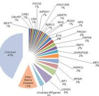 Each patient may carry a variant in one or more of approximately 100 genes