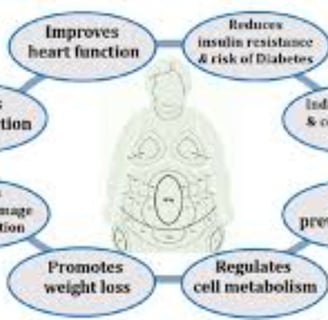 fasting effrct