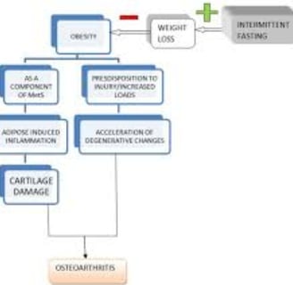 oxitavie stress
