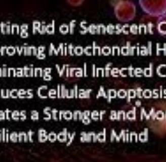 Fasting and Shingles