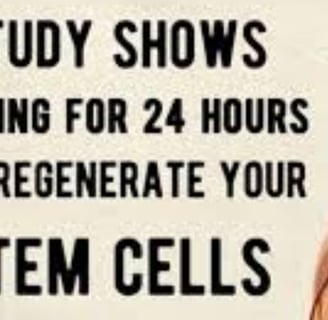 stem cell