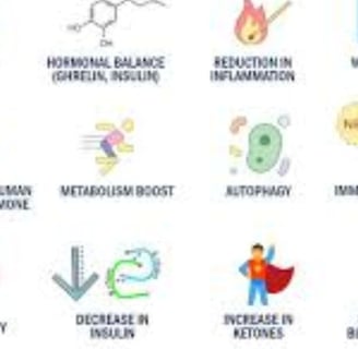 fasting induced autophagy