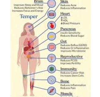 Starvation Diabetes : Fasting-Induced Insulin Resistance