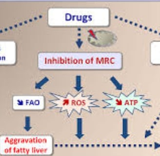 fatty liver disease hepatotoxic medicat