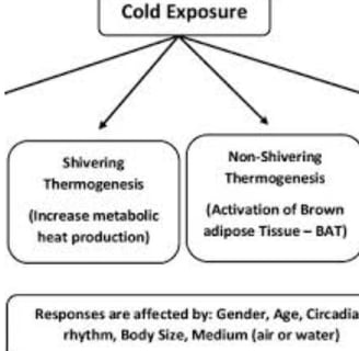 fever causes symptoms treatment Fasting honey cold water sun exposure and walking