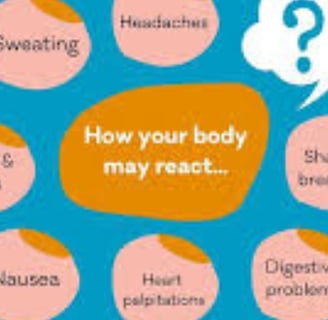 body react