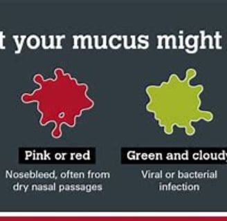 mucous what in it